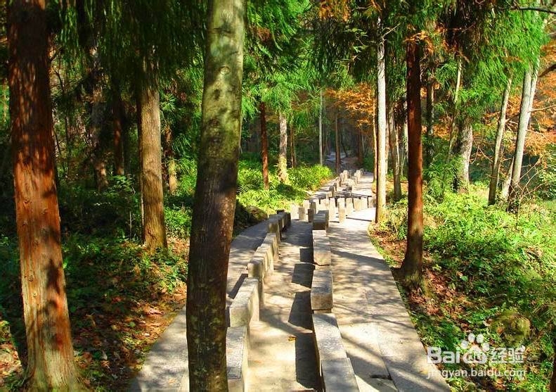 张家界自驾游俱乐部