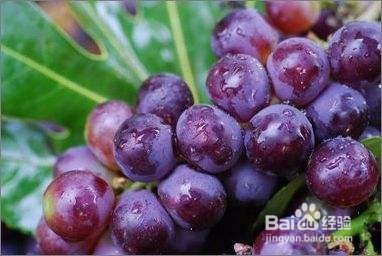 如何彻底清除体内垃圾