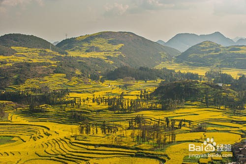 重庆到罗平旅游攻略