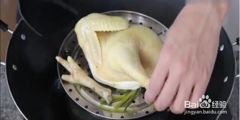 怎么样做白切鸡 水蒸鸡营养又美味。