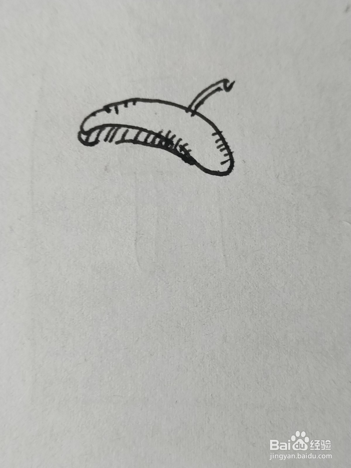 怎么画卡通小猪画家
