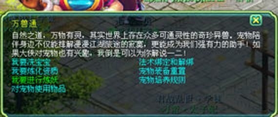 神武怎么看资质上限，如何提升宠物资质？