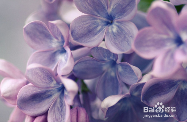 第一次为什么进不去？