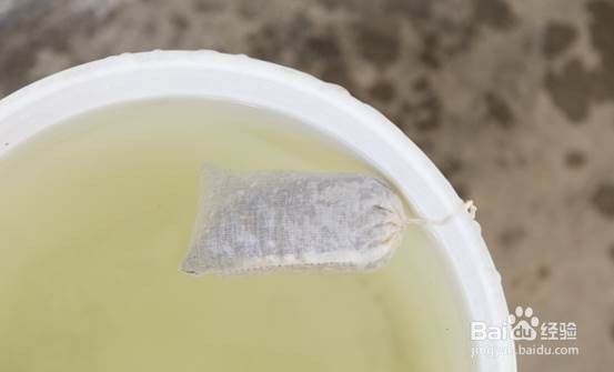 自家做的多肉肥料茶