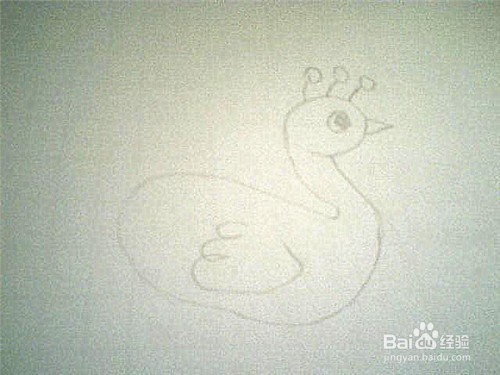 简笔画孔雀是怎样画的