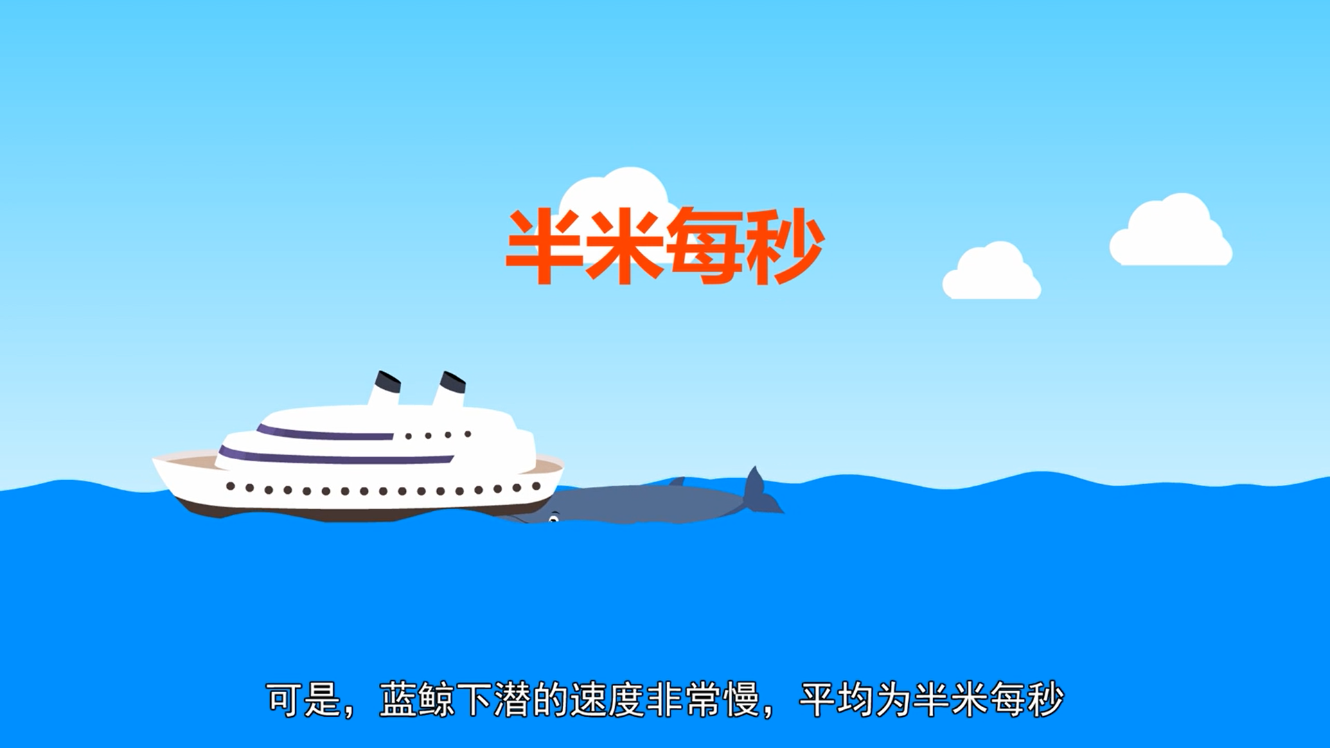 蓝鲸为什么会撞船