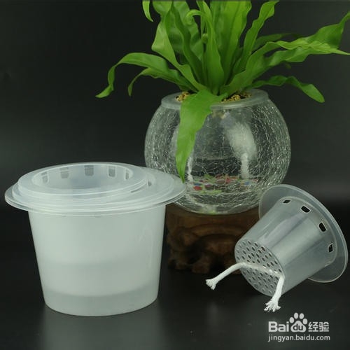 水培定植篮比花瓶口小怎么办