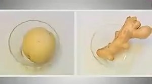 健康养生佳品腌鲜韭菜花酱