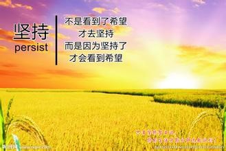教你如何不长胖
