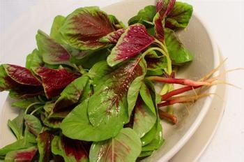 准妈妈最好少吃哪些食物