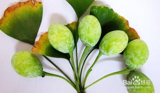 哪些食物自带有毒物质