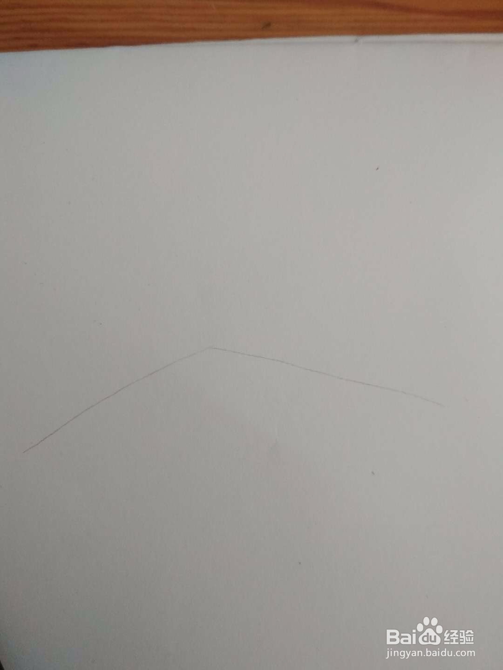 多妈简笔画植物一株椰子树