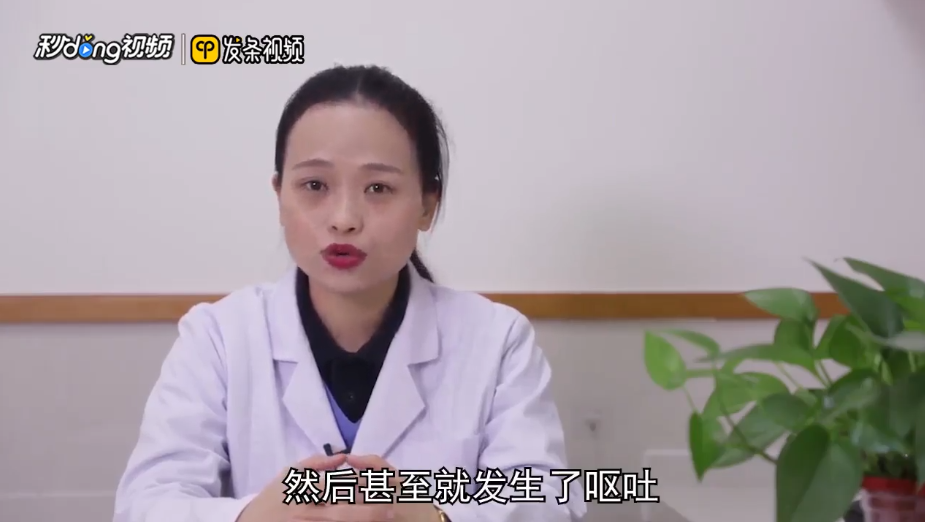 狗狗晕车的症状及原因是什么?