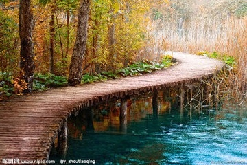 如何防止暴饮暴食