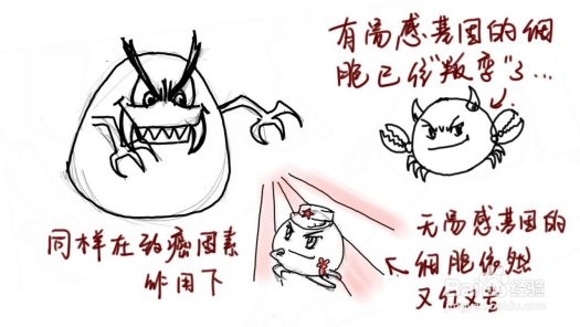 关于肺癌,你不知道的那些事儿