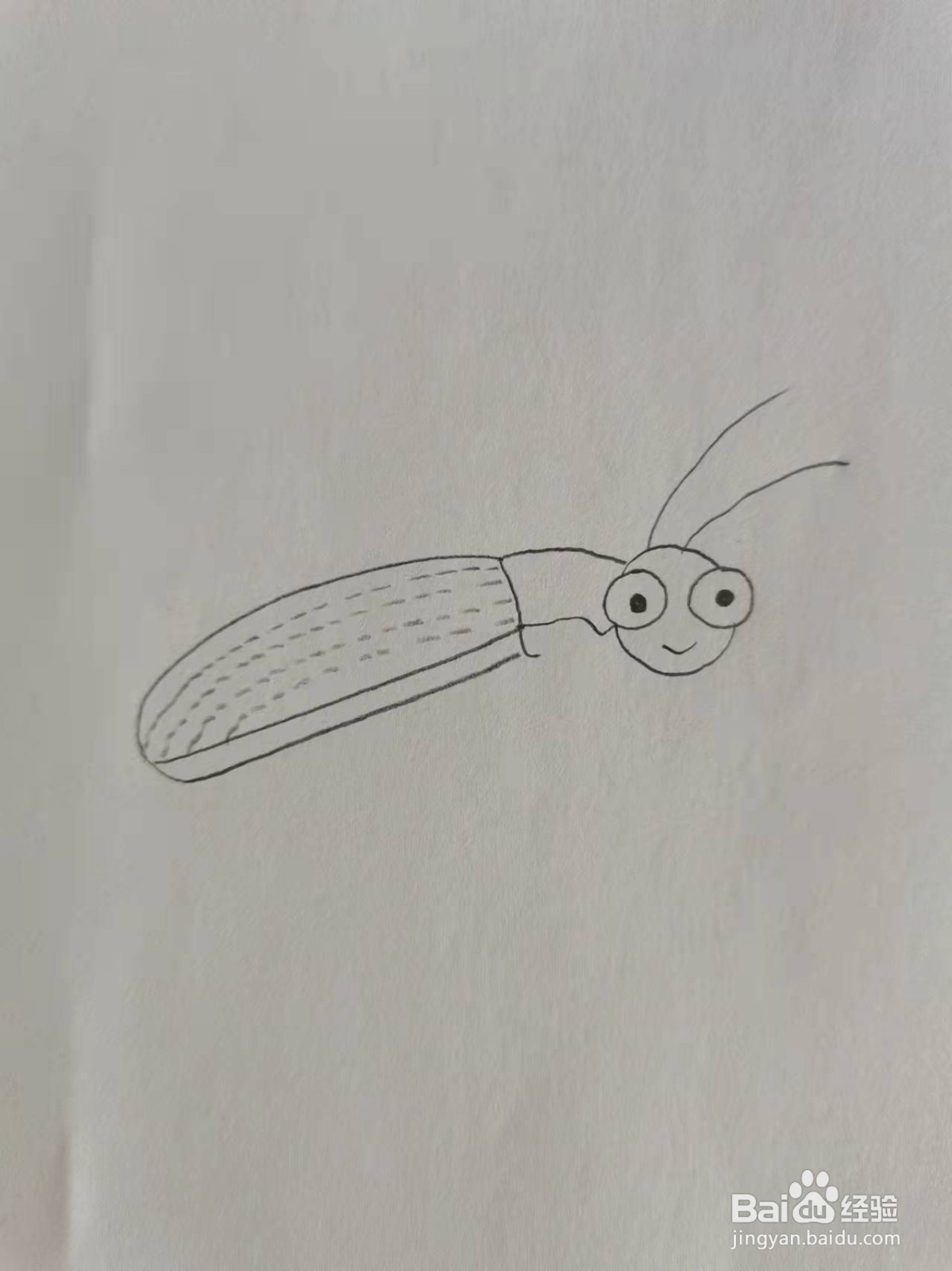 放屁甲虫怎么画