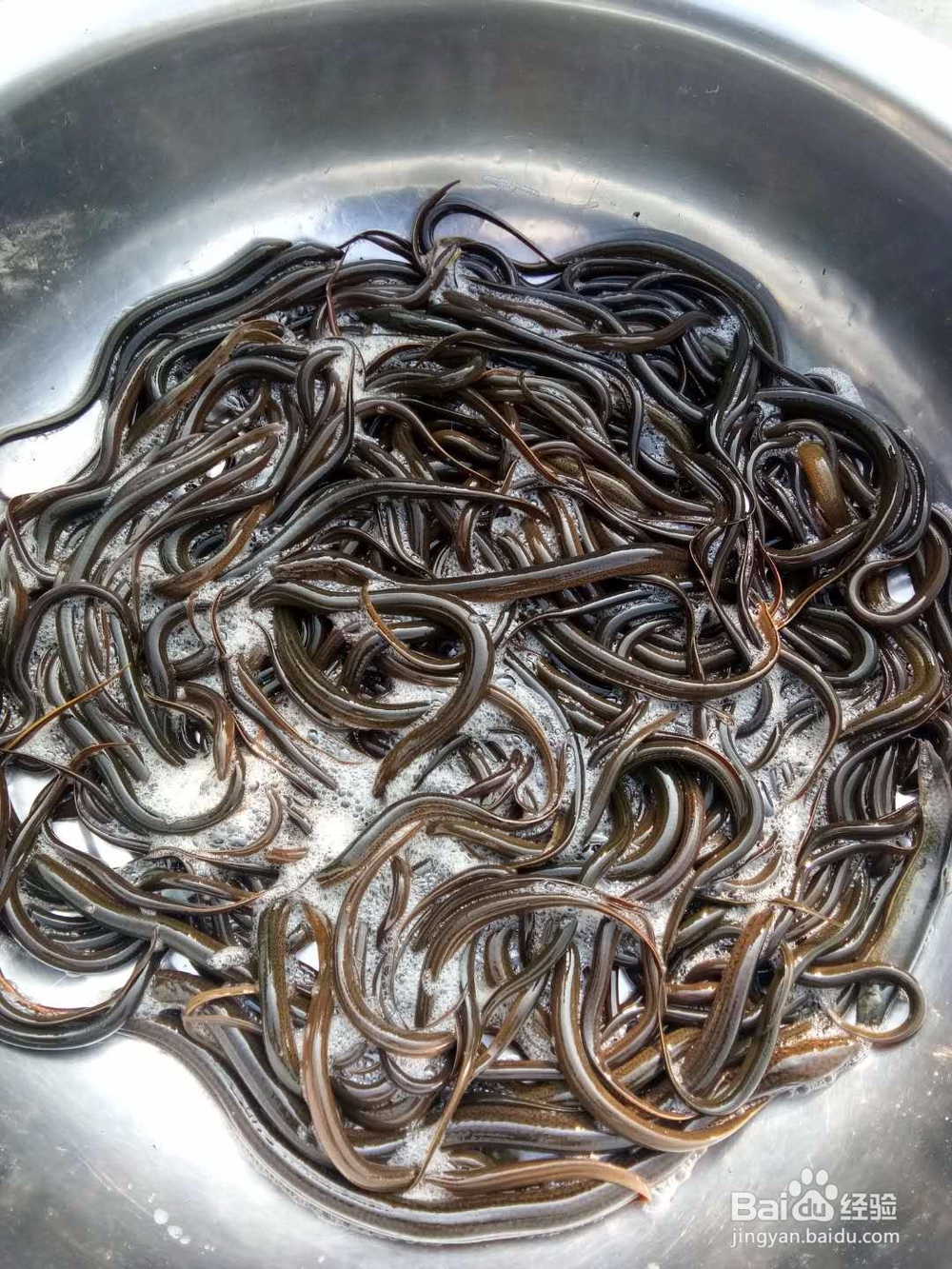 鸣凤山野美食集锦