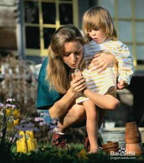 被毒蜂蜇伤怎么办？