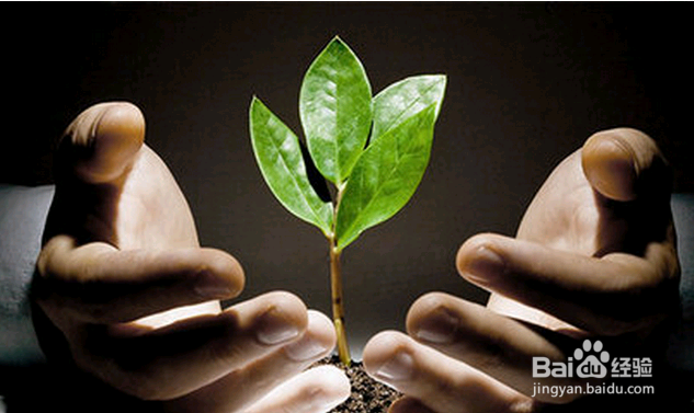 连创业都不敢,还谈什么赚钱?如何赚钱?