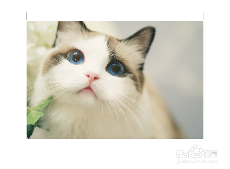 word图片打印总不完整怎么办？