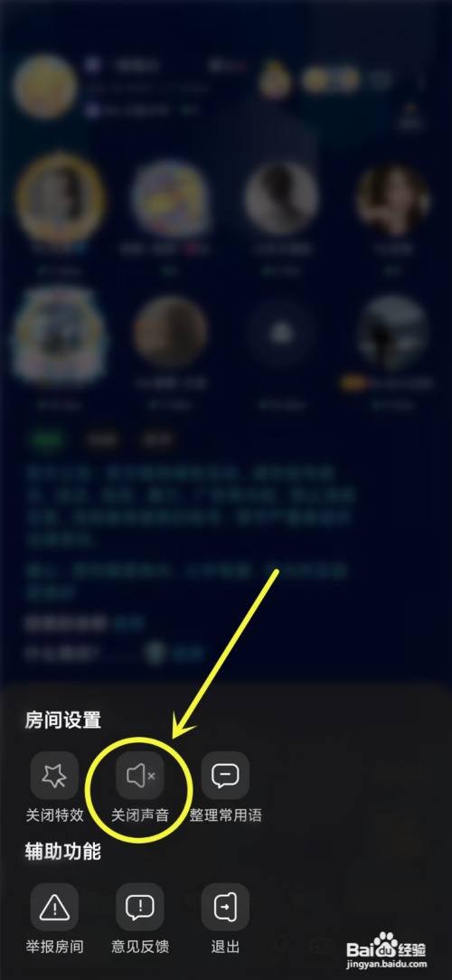 抖丸APP聊天室如何关闭声音