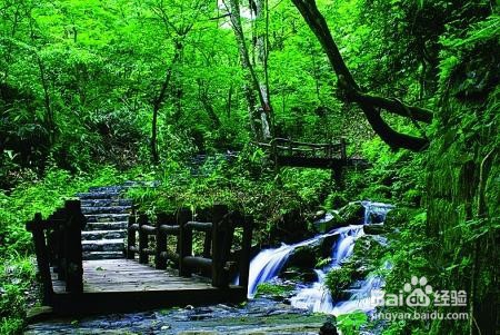 恩施坪坝营旅游攻略