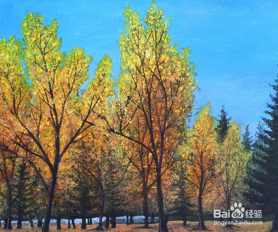 如何学好语文，考出好成绩来。