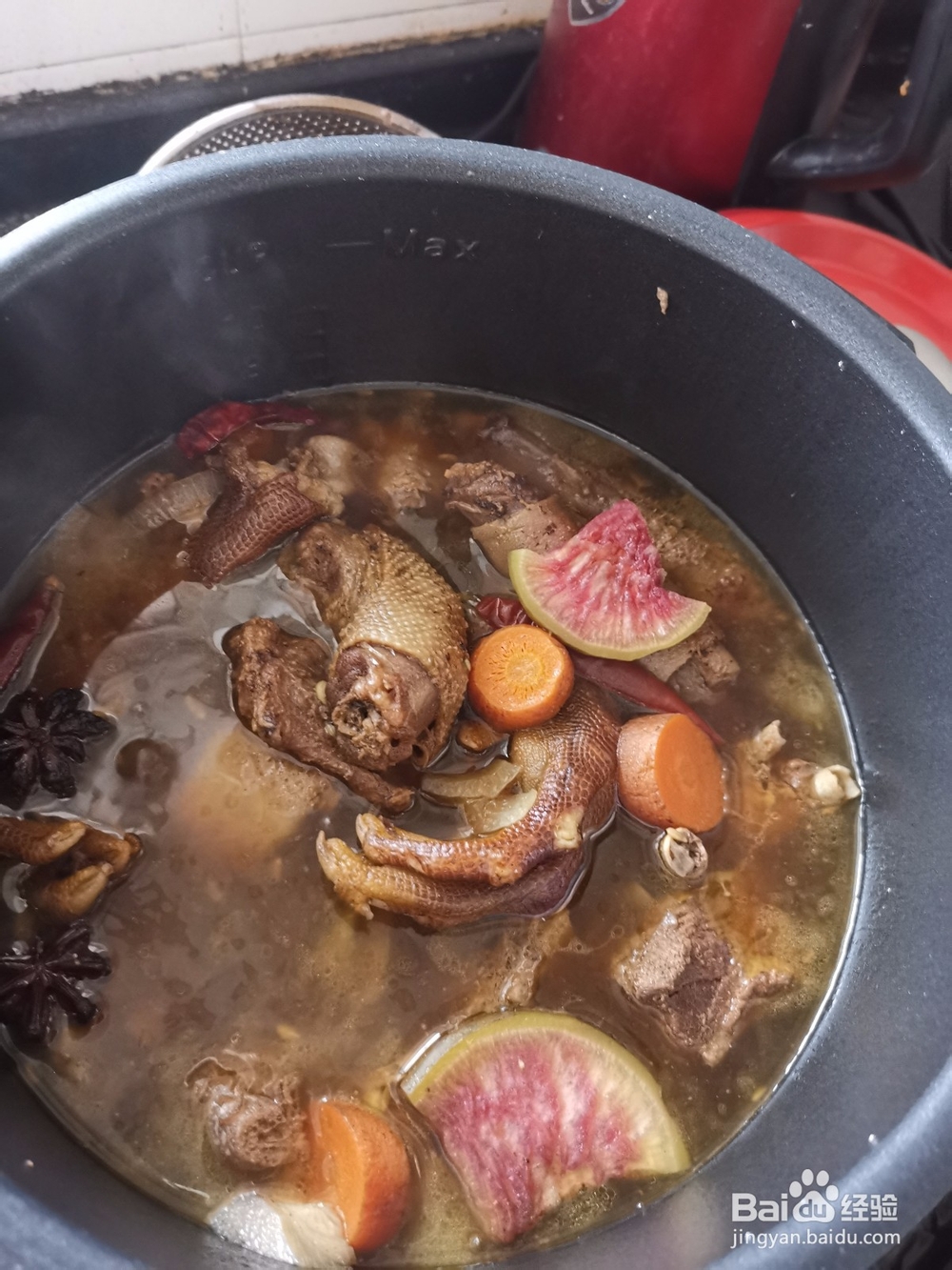 高压锅炖鹅肉