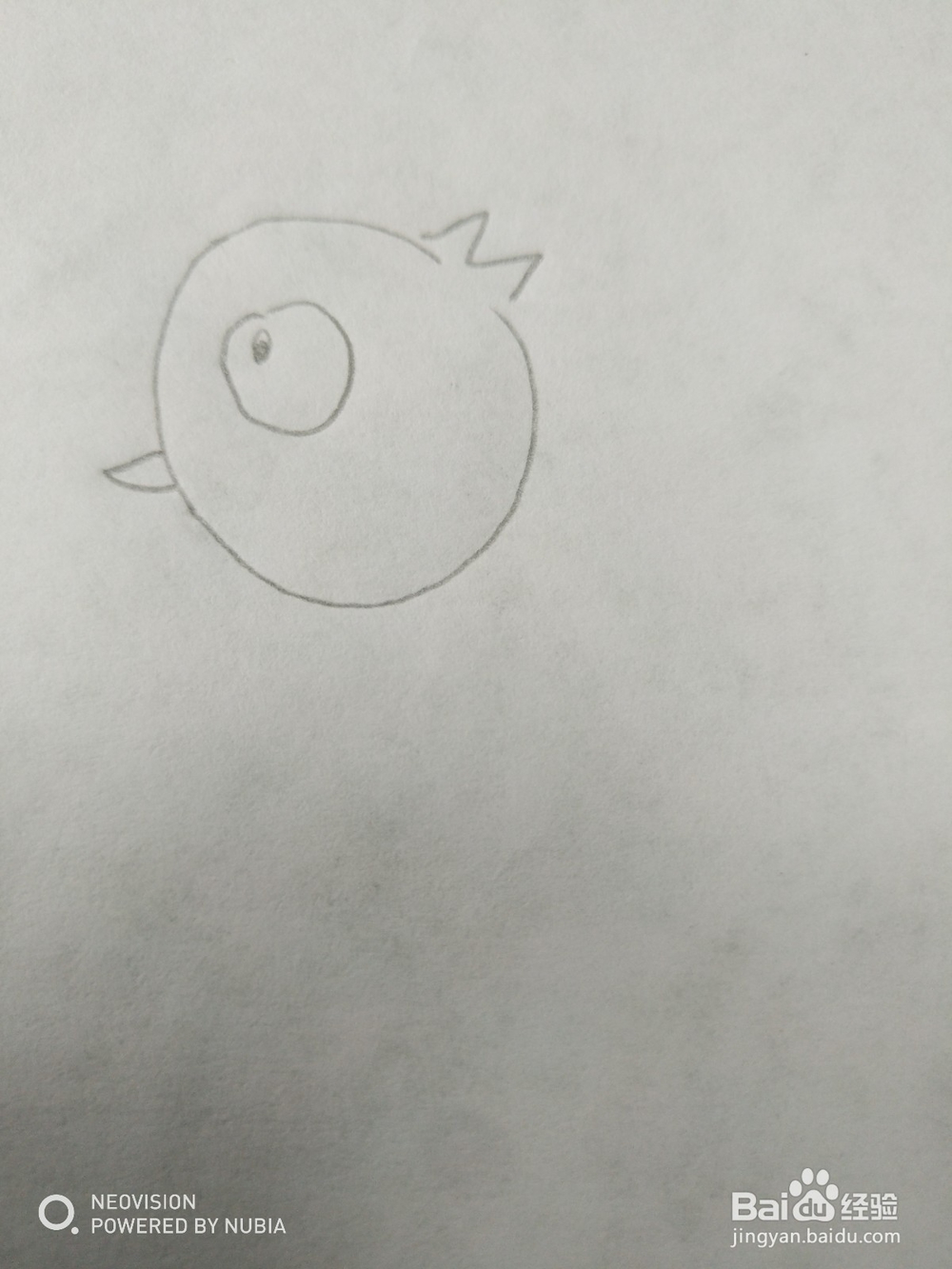 简单可爱的小鸟怎么画（四）