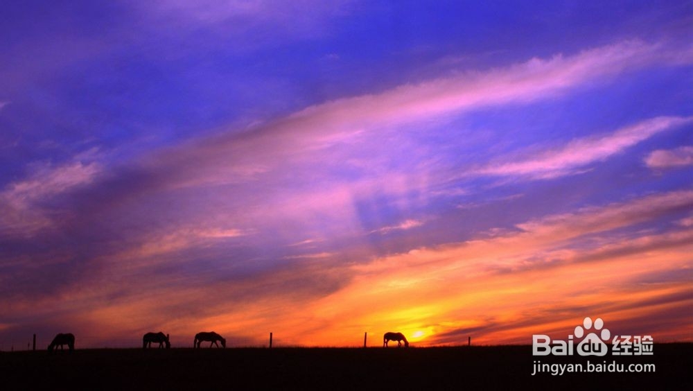 【摄影技巧】初级摄影构图四要素