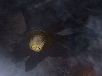 如何做超简单的煎蛋面？