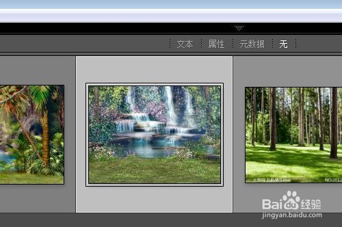 Lightroom文件夹如何同步更新导入添加新照片
