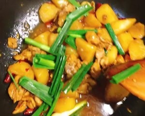 怎么做土豆炖鸡块
