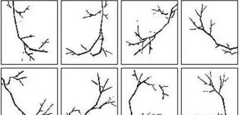 国画梅花的画法攻略