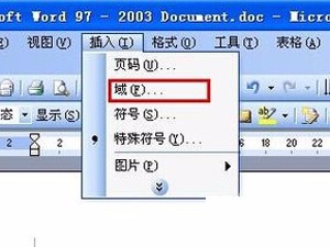 word文档怎么输入分数(分子/分母)