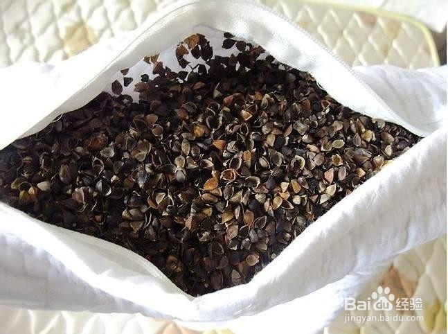 Skytex：不同材质枕头的优缺点