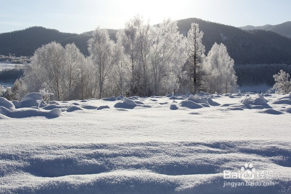 喀纳斯冬季冰雪三日游旅行指南