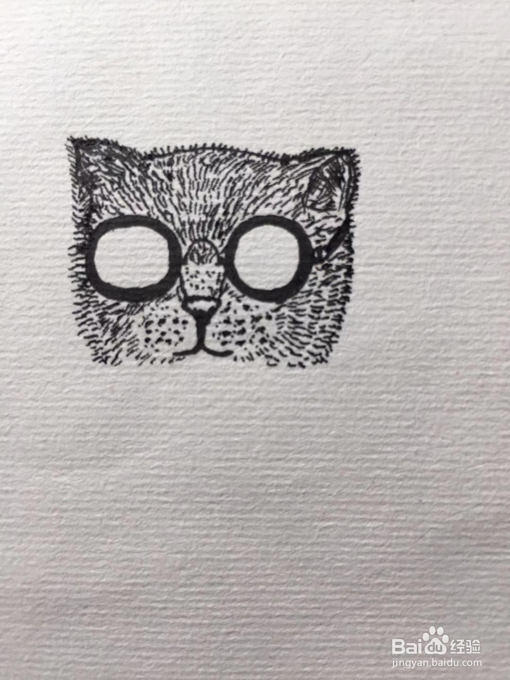 茉莉手绘之猫咪