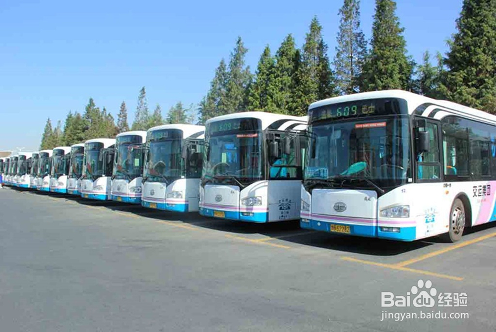 大一新生怎么从青岛长途汽车站到青岛大学报道