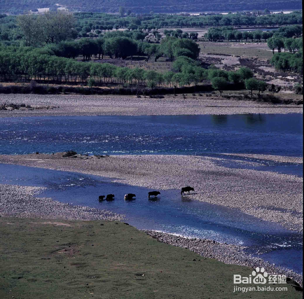 可可西里穿越两大无人区摄影团线路、攻略