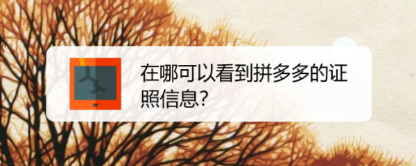 在哪可以看到拼多多的证照信息