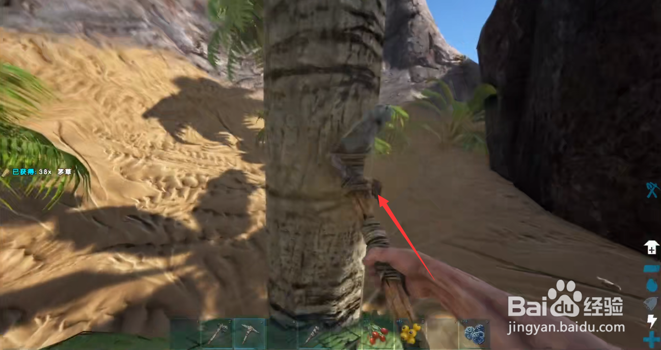 方舟生存进化怎么种田