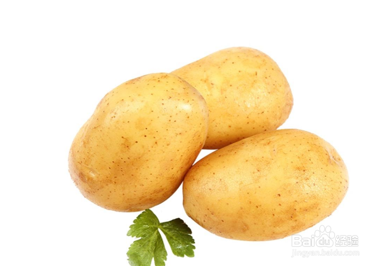 冬天储存什么菜