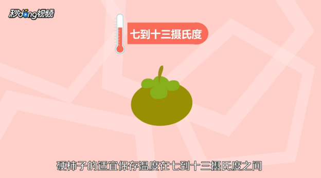 硬柿子该如何保存？