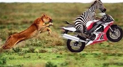 177位百万富翁的生活习惯