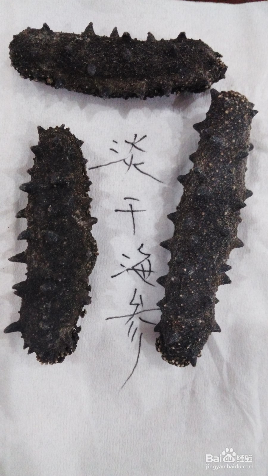 如何区分干海参的好坏