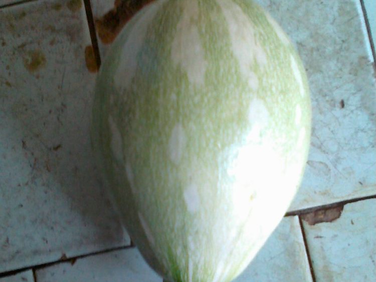 香味十足的蒜味西葫芦丝！