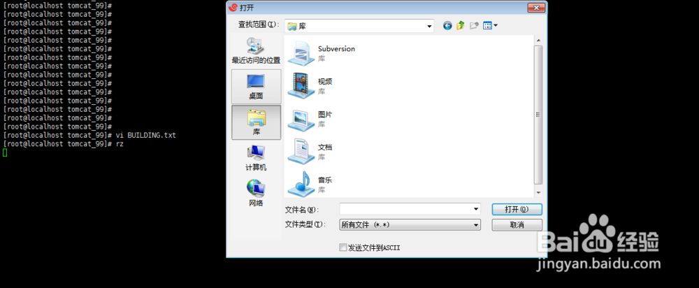 linux常用基础命令教程