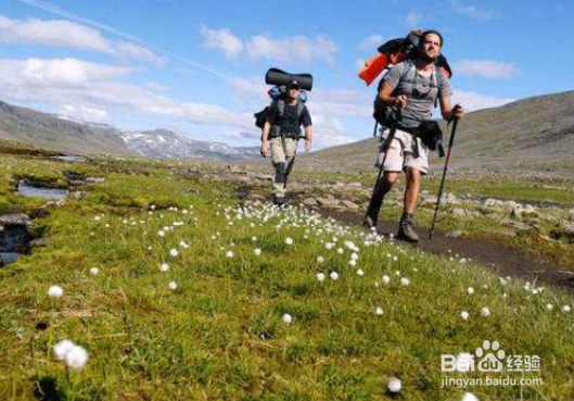 冬天旅游会选择怎样出行