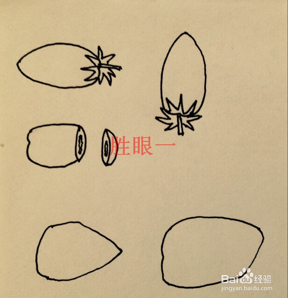 怎样画切开的小西红柿呢?